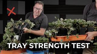 Cheap vs Heavy Duty Seed Trays: Which Holds Up
