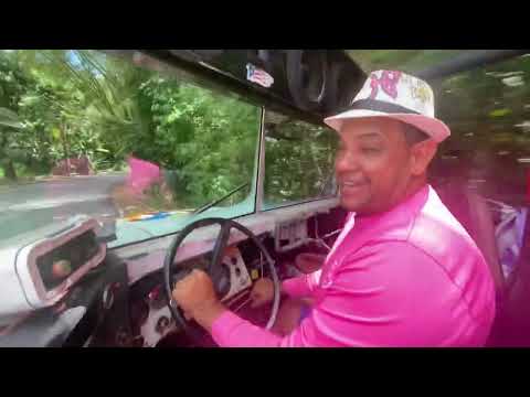 La Voladora Boricua Sharon Ruta Manguerazo