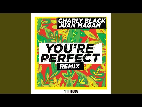 You're Perfect (Remix)