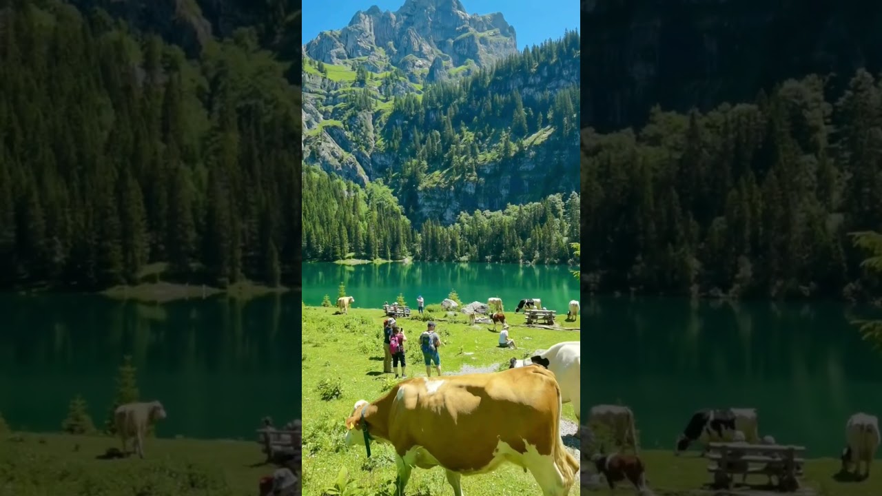 YouTube Short thumbnail