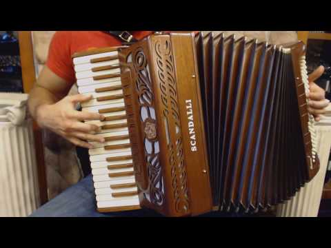 SCANINTAIRH37MW - NEW Mahogany Scandalli Intense Air Piano Accordion LMMH 37 120 $8999