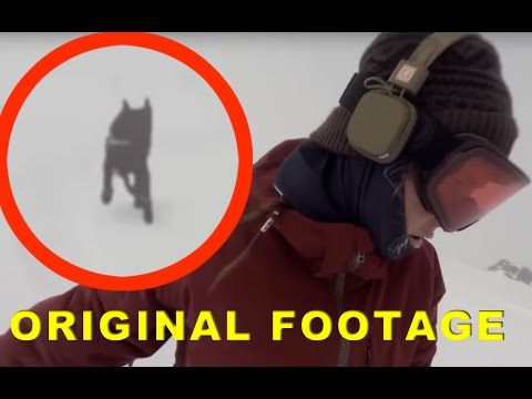 Snowboarding Girl chased by bear - What really happened [Spoof]