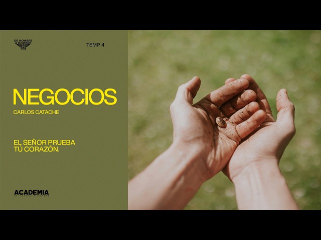 Negocios