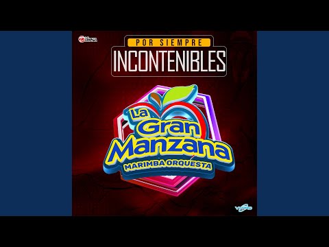 Mix Incontenible Años 80: Disco Deewani / No Te Pertenece (Brother Louie)