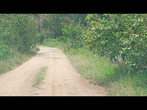 Pilar do sul interior de São Paulo 