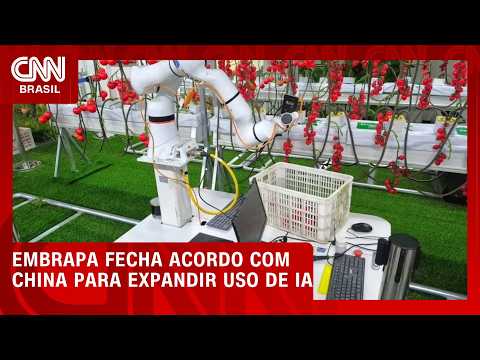 Embrapa fecha acordo com a China para levar IA à agricultura familiar | CNN AGRO NEWS