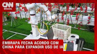 Vídeo: Embrapa fecha acordo com a China para levar IA à agricultura familiar | CNN AGRO NEWS