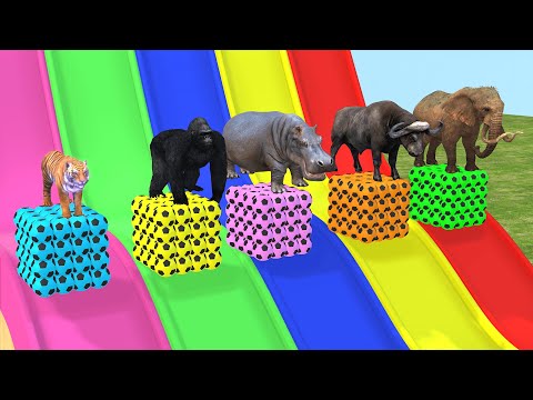 Animal Times - Resmi Oynanış Videosu / Gameplay