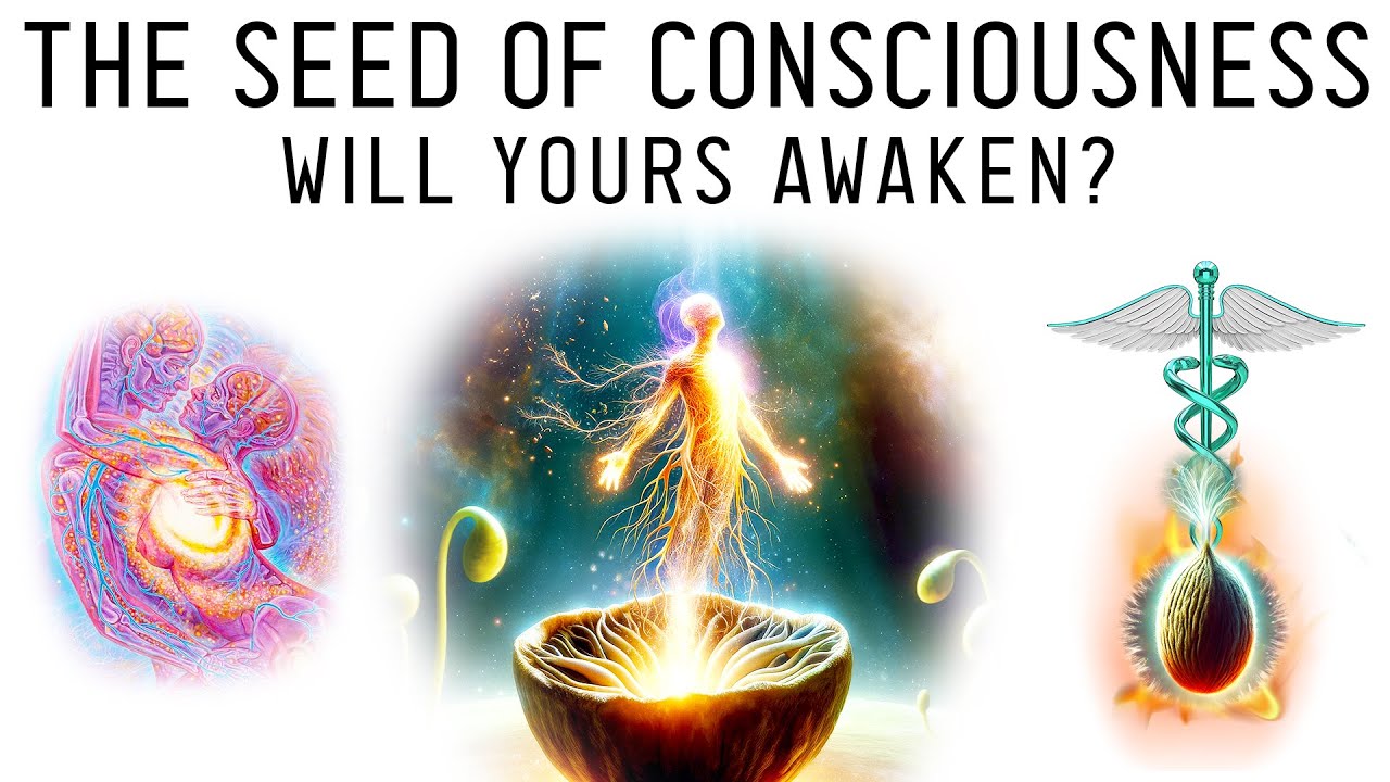 Sexual Alchemy: What Does Your Seed Create?