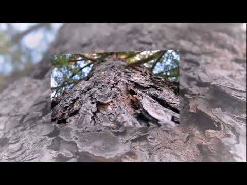 Мгновение - это миг бесконечности...