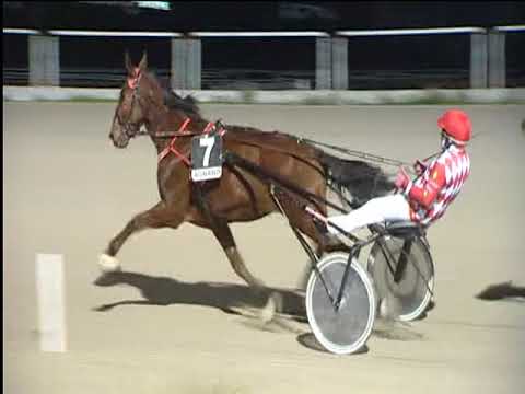 Trotto 02/12/2018 - 5ª corsa