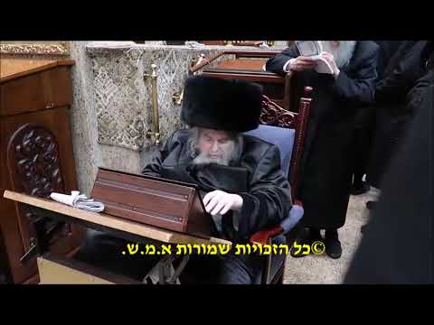 9 Av 5783 With Belzer Rebbe