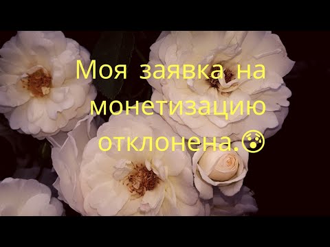 Моя заявка на монетизацию отклонена./В чем причина,узнаете,когдапосмотрите./