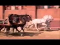 Benhur - Chariot race - YouTube