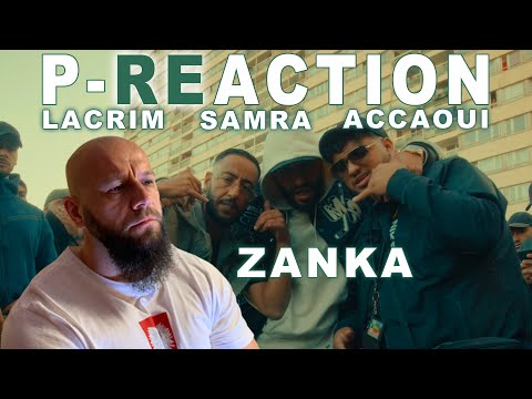 Krasses Feat.!!! ❙ SAMRA x LACRIM x ACCAOUI - ZANKA ❙ P-REACTION ❙ PPM BEATZ ❙ Reaction