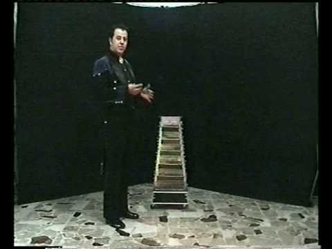 diamondmagic coin ladder fism