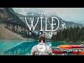 The Wild Is Calling An Indie Folk Pop Playlist