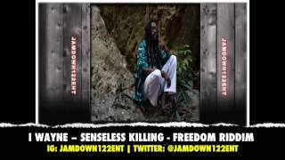I Wayne - Senseless Killing - Freedom Riddim - Dreaded Sounds