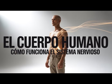 El Cuerpo Humano: Cómo funciona el sistema nervioso | DOCUMENTAL