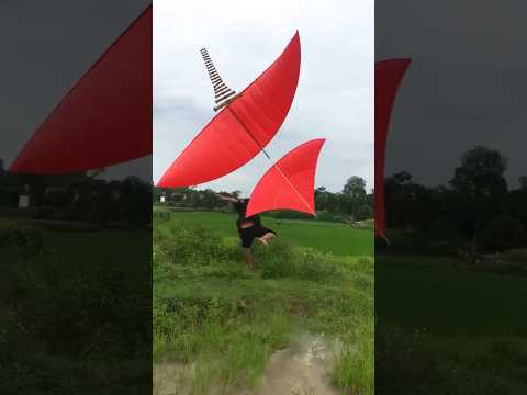 Thả diều Sáo đuôi cá cõng Sáo bò ngao bụp,bệnh gì đây mọi người.#kite #xuhuong #viral #youtubeshorts