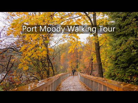 Beautiful Fall Foliage in Port Moody | Rocky Point Park & Shoreline Trail Walk