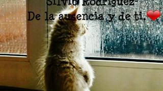 Silvio Rodriguez - De la ausencia y de ti.❤