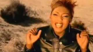 Out of Eden Meditate