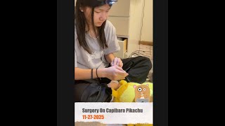 Surgery On Capibara Pikachu