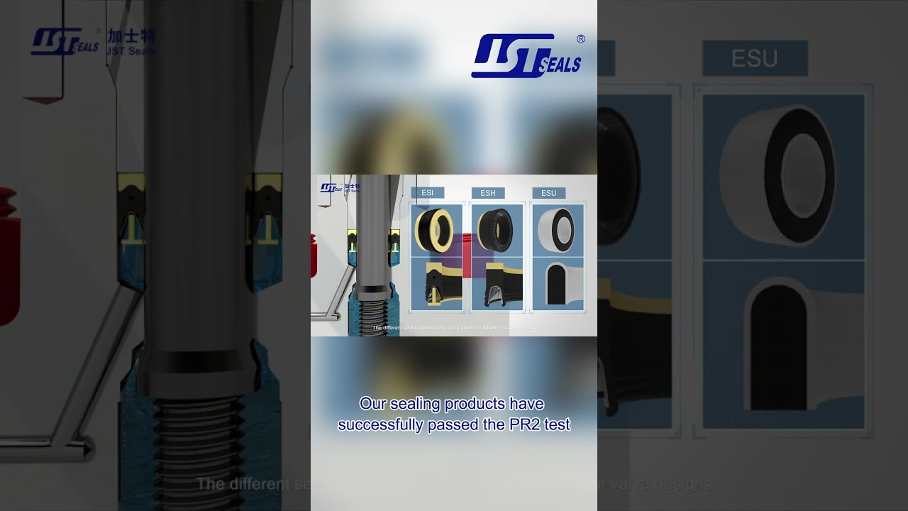 JST API6A wellhead equipment seals.