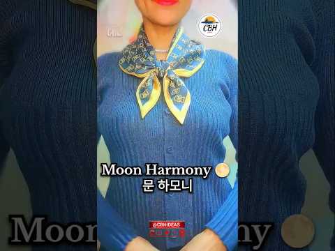 Silk Moon Harmony 🌕 | 실크 문 하모니  #CBHIDEAS #MoonSilk #KStyleGlow #USAMoodLook #ElegantSilk 