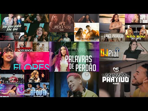 SELEÇÃO BREGA ROMÂNTICO AS MELHORES DE 2024 DJ PIAL A MÍDIA DO MOMENTO