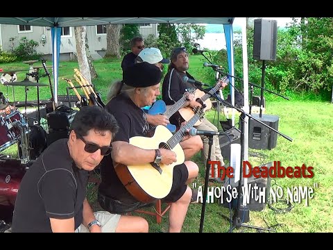 THE DEADBEATS - "A HORSE WITH NO NAME"