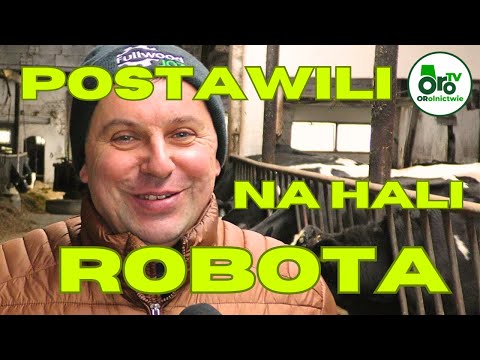 The robot has been milking 70 cows for a year now. Efficiency has increased. They have 40 hectare...