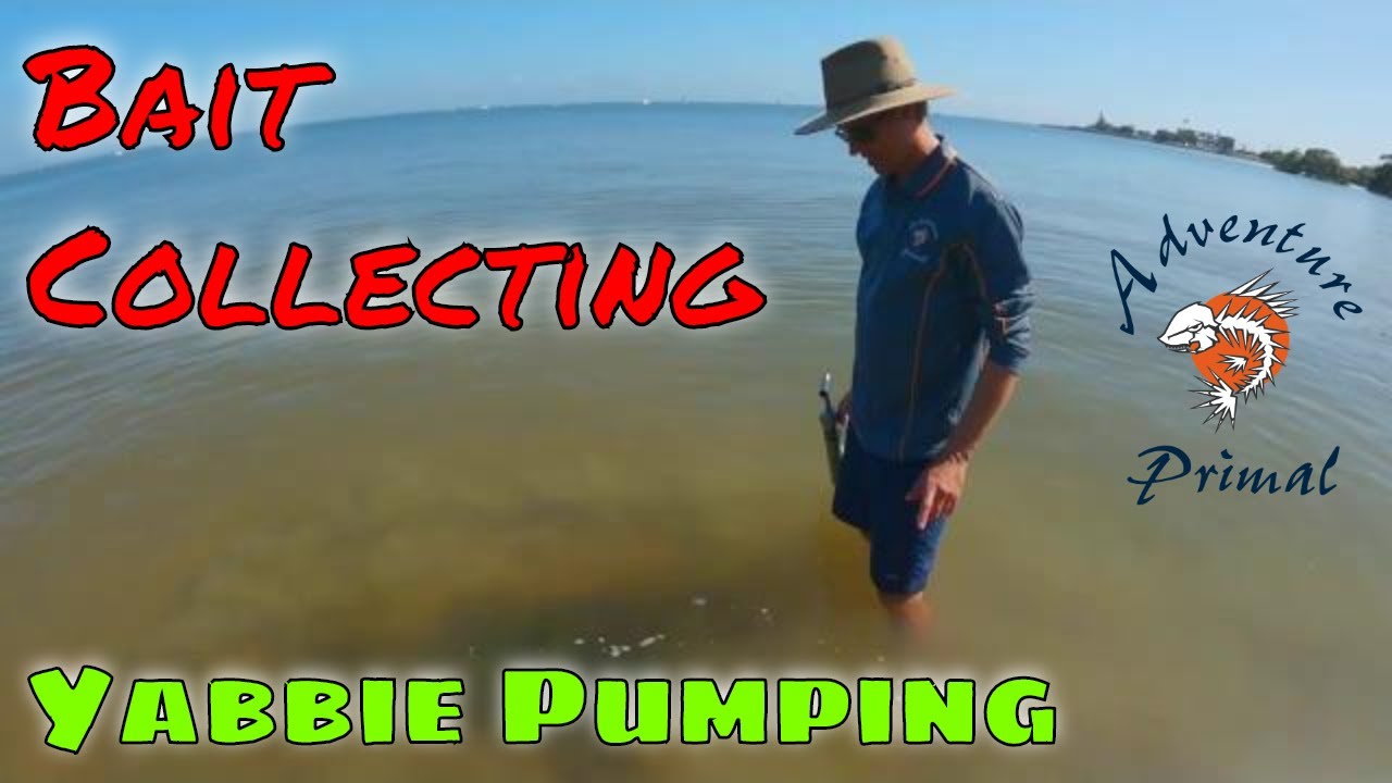 Bait collecting - Yabbie Pumping in Water