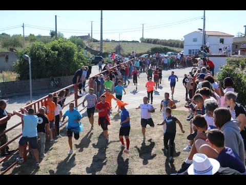 Accidentado encierro de Valrubio en Pereña de la Ribera  