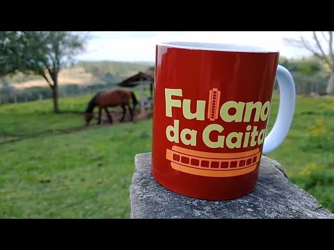 Fulano da Gaita - A experiência - Aula avulsa do Rodolfo, um dos candidatos à experiência.