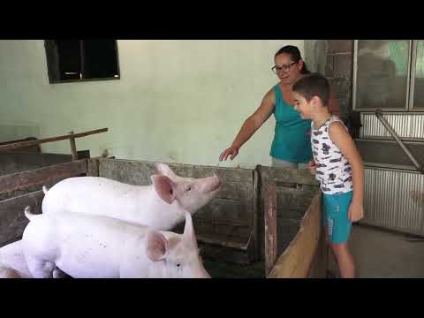 Agro karavan ep.243 - Svojnovo - 04.09.2022.