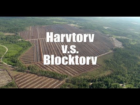 Harvtorv Blocktorv