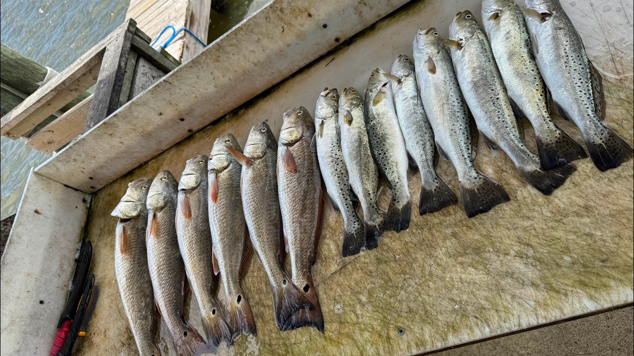 Fishing with some hooked ohn lures sightcasting port Mansfield 