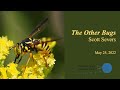 The Other Bugs Scott Severs May 2022