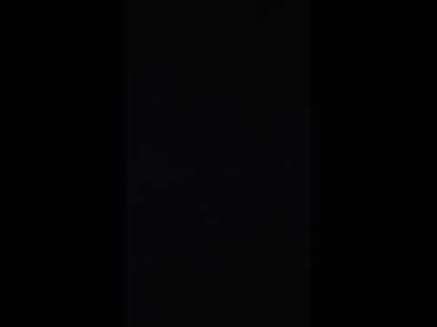 Berghain/Panorama Bar