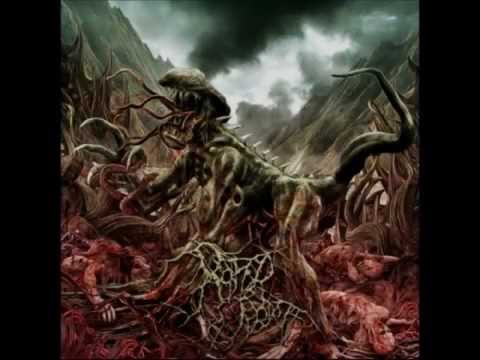 Rotted Rebirth - Submit To The Malicious Consequences (2012)
