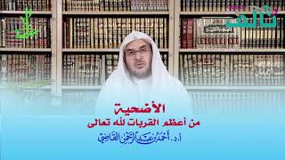 صورة الأضحية من أعظم القربات | أ.د. أحمد القاضي (مقطع قصير)