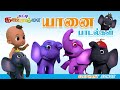 Chutti Kannamma Elephant Songs || Tamil Kids Elephant Songs 🐘 Chutty Kannamma Tamil Baby Rhymes
