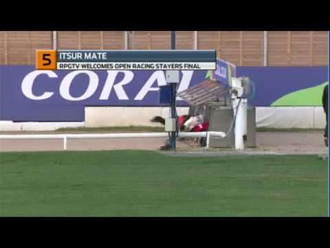 RPGTV STAYERS FINAL - T5 ITSUR MATE - 10/07/20