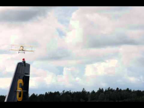 Tummelisa in flight.