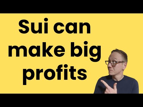 Sui Crypto-Bewertung – sollte die 10-Dollar-Marke deutlich knacken (aktuell 1,78 Dollar)