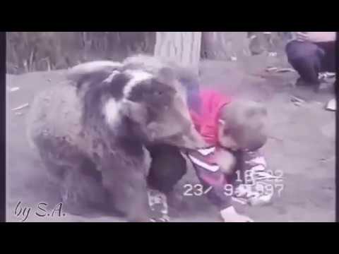 Khabib Nurmagomedov vs  Bear | Khabib Won