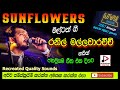 RANIL MALAWARACHCHI WITH SUNFLOWER රනිල් මල්ලවාඅරච්චි සමග �