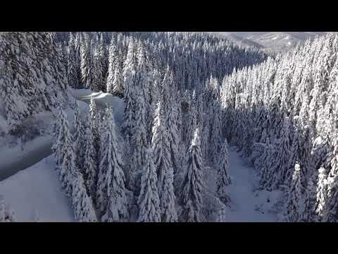 Deasupra Bucegilor - Cabana Dichiu